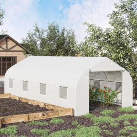 19.5x9.8x6.75' Polytunnel Hoop Greenhouse w/ White PE Cover
