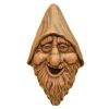 Outdoor Cast Resin Tree Face Birdhouse in Rustic Carved Wood Finish