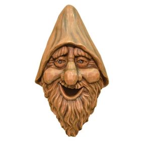 Outdoor Cast Resin Tree Face Birdhouse in Rustic Carved Wood Finish