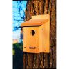 Red Cedar Wood Birdhouse - Ideal for Eastern Western and Mountain Bluebirds 12 Inches