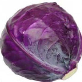 CABBAGE, Red Acre