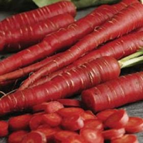 CARROT, Atomic Red