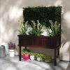 Modern Espresso Fir Elevated Raised Bed w/ Trellis 41x18x55”