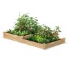 Cedar Wood 2 Tier Raised Garden Bed 8 ft x 4 ft - Made in USA