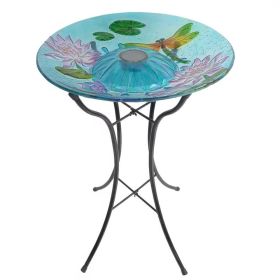 Glass Bowl Dragonfly Bird Bath with Solar Light and Metal Stand