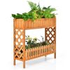 2 Tier Elevated Raised Garden Bed Fir Wood Planter Box