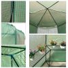Hexagon Hoop Greenhouse 6.5’D x 7.5’H PE Cover and Shelves