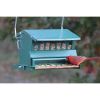 Large Rugged Green Metal Squirrel-Proof Bird Feeder with Easy-Refill Top 15 Lb Capacity