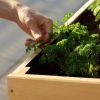 Modern Cedar Wood Elevated Raised Bed Planter 71” x 31" x 29”