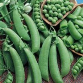 PEAS, Cascadia