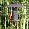Copper Finish Umbrella Bird Feeder with Mesh Tube Reservoir and Bottom Hook - 3.5 lbs Seed Capacity