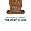 Heavy Duty Lantern Style Bird Feeder with Four Sided Perching Areas 3.5 Lbs Capacity