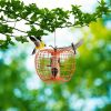 Squirrel Resistant Outdoor Orange Metal Cage Small Bird Feeder 16” Height
