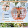 Squirrel Resistant Outdoor Orange Metal Cage Small Bird Feeder 16” Height