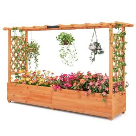Large Outdoor Planter with Side Trellises and Arbor 79"x18"x45”