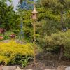 Outdoor Garden Solid Iron, Copper Finish Gramophone Roof Birdhouse with Garden Stake