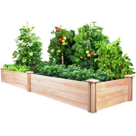 Cedar Wood Outdoor Raised Garden Bed 8Ft x 2Ft x 11In
