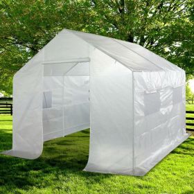 8’ x 10’ x 9’ A-Frame Greenhouse with Steel Frame and PE Cover