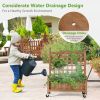 Fir Wood Outdoor Planter Box with Trellis on Wheels 25”W x 32.5”H
