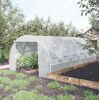 20' x 10' x 6' Walk-In Hoop Greenhouse with 12 Roll-Up Windows