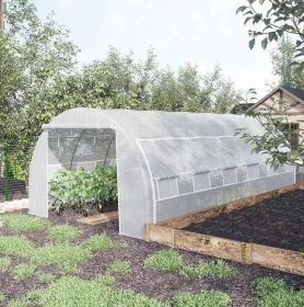 20' x 10' x 6' Walk-In Hoop Greenhouse with 12 Roll-Up Windows