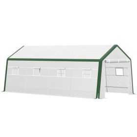 20'x10' PE A-Frame Greenhouse with Rollup Windows and Door