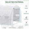 20' x 10' x 6' Walk-In Hoop Greenhouse with 12 Roll-Up Windows