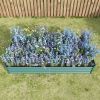 Coated Metal Raised Garden Bed in Green 7.6ft x 3.7ft x 1ft