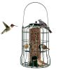 ild Bird Caged Bird Feeder Squirrel and Chew-Proof 4 Feeding Ports for Small Songbirds