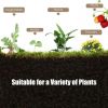Fir Wooden Elevated Raised Bed Garden Box 47.5” x 14” x 20”