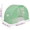 9.8’ x 4.9’ x 6.5’ Hoop Greenhouse with Steel Frame, PE Cover
