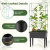 Self-watering Elevated Raised Bed with Trellis 30" x 14.5" x 74.5”
