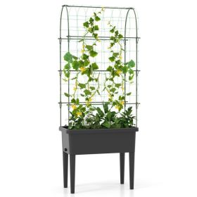 Self-watering Elevated Raised Bed with Trellis 30" x 14.5" x 74.5”