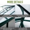 Aluminum and Polycarbonate A-Frame Greenhouse 10 x 6 x 7 Ft