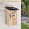 Smart Birdhouse with 3MP Camera and Phone App - Auto Capture Bird Videos, Close-Ups, Motion Detection
