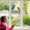 Transparent Acrylic Bird Feeder Cage Attaches to Window for Up-Close Viewing