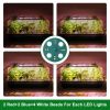 Seed Starter Kit - 2PCS 40-Cell Trays w/Adjustable Grow Lights