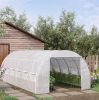 20' x 10' x 6' Walk-In Hoop Greenhouse with 12 Roll-Up Windows