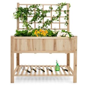 Fir Wood Elevated Raised Bed Planter with Trellis 48" x 23" x 63"