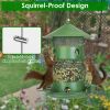 Powder Coated Iron Wild Bird Feeder 3-Tier, 6 Perches and 4 Water Bowls 360 Degree Viewing
