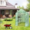 Mini Walk-In A-Frame Greenhouse with 8 Shelves 5’x5’x6.4’