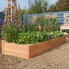 Wooden Raised Garden Bed Divisible Planter 92” x 22” x 9”