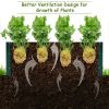 Coated Steel Raised Garden Bed for Patio/Ground 40”x 32”x12”