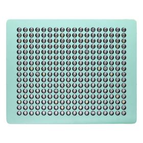 MINT LED Panel (Watt: 620, LED: 1000)