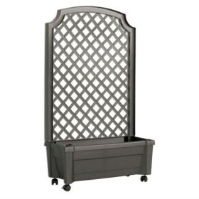 PE Self Watering Trellis In/Outdoor Planter in 3 Colors 31”Wx53”H (Color: grey)