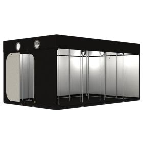 Secret Jardin Intense (Model: 480 v4.0, size: 16' x 10' x 92")