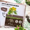 Coated Steel Raised Bed Stock Tank with Safety Edge 2 Sizes