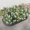Large Oval Galvanized Steel Raised Garden Bed 89x45x11” 2 Colors